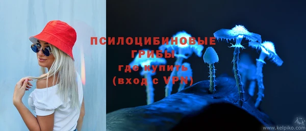 мяу мяу мука Армянск