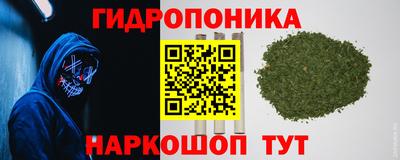 дмт Свободный