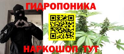 дмт Свободный